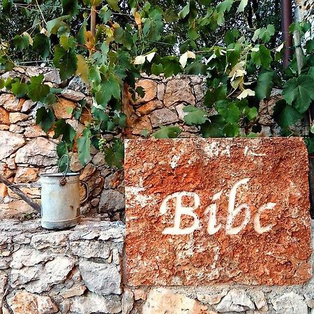 Bibc Wine & Holiday Trieste Ngoại thất bức ảnh